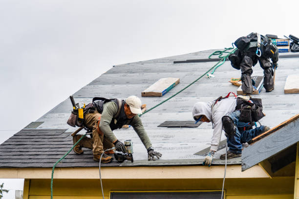 Professional Gutter Installation technician working in Loachapoka, AL